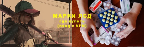 прущие грибы Кодинск