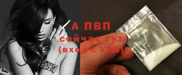 прущие грибы Кодинск