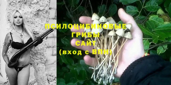 не бодяженный Козловка