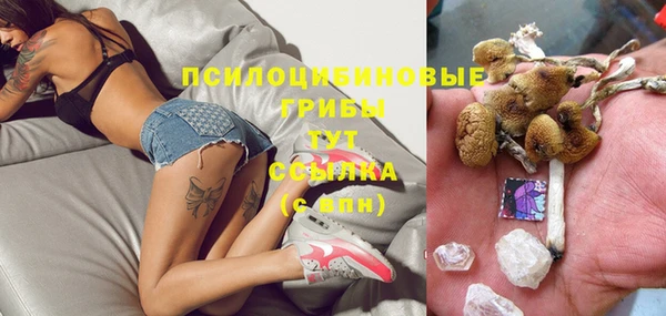 прущие грибы Кодинск