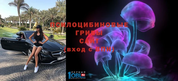 дурь Козельск