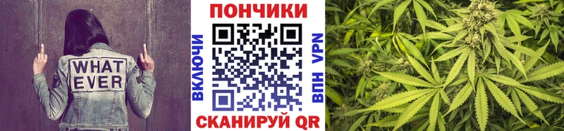 Конопля план  Купить  Вуктыл 